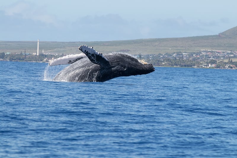 Maui, Hawaii